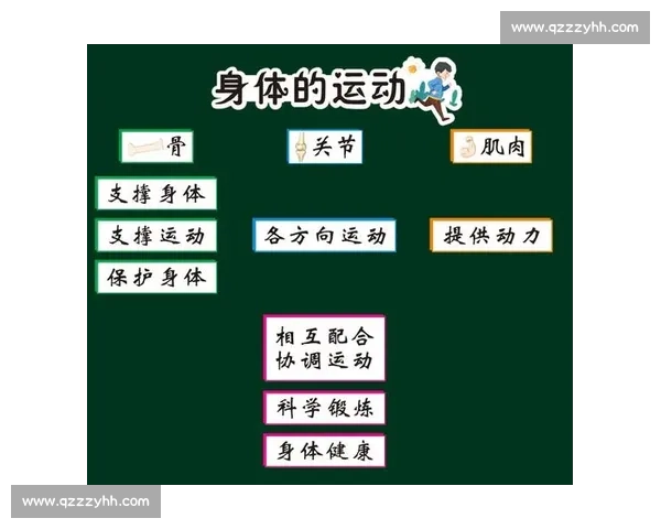 提升运动表现的科学训练方法与效果评估研究